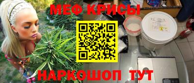 мяу мяу мука Аргун