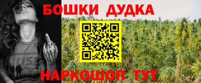 мяу мяу мука Аргун