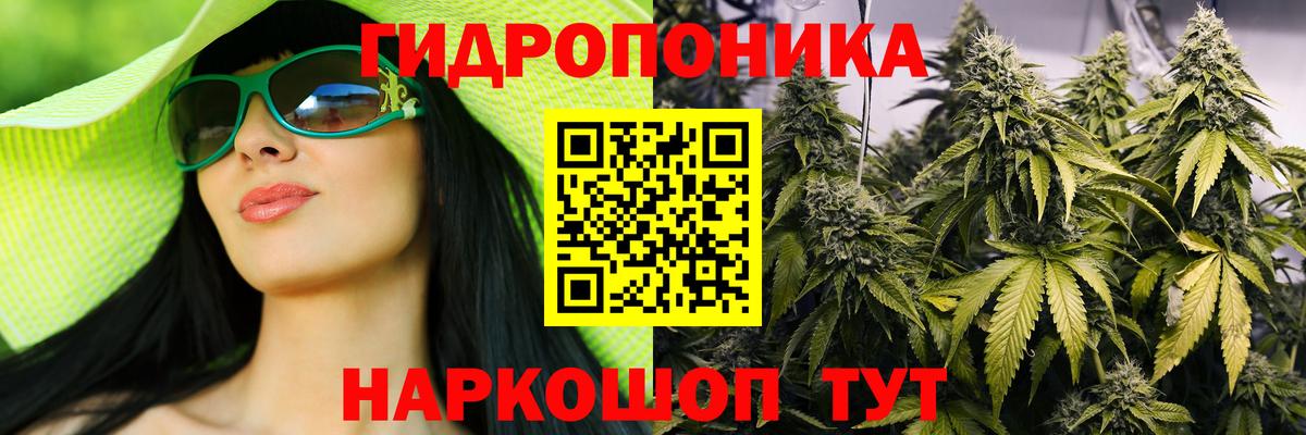 Бошки Шишки планчик Валуйки